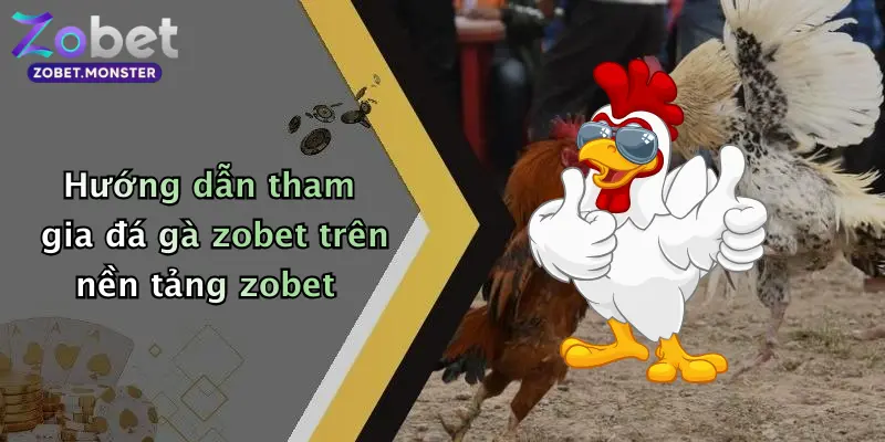 Hướng dẫn tham gia đá gà zobet trên nền tảng zobet