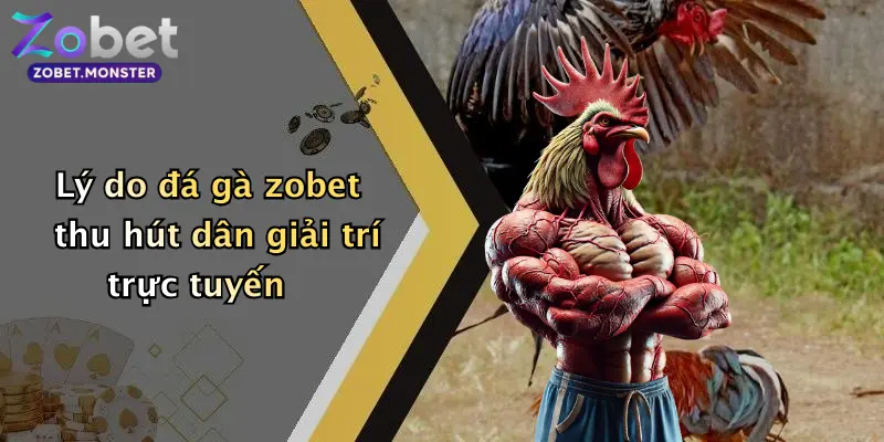 Lý do đá gà zobet thu hút dân giải trí trực tuyến
